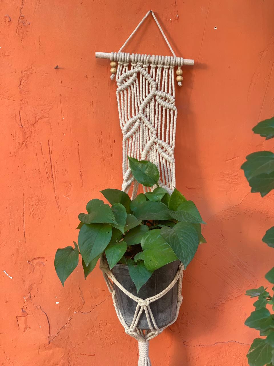 انتخاب رنگ بعد از ثبت سفارش هماهنگ میشه