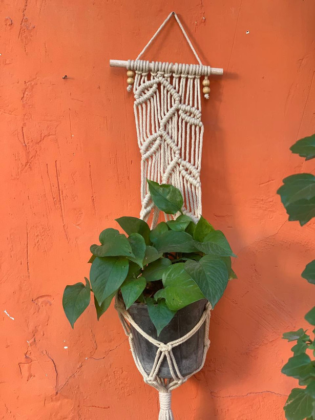 انتخاب رنگ بعد از ثبت سفارش هماهنگ میشه